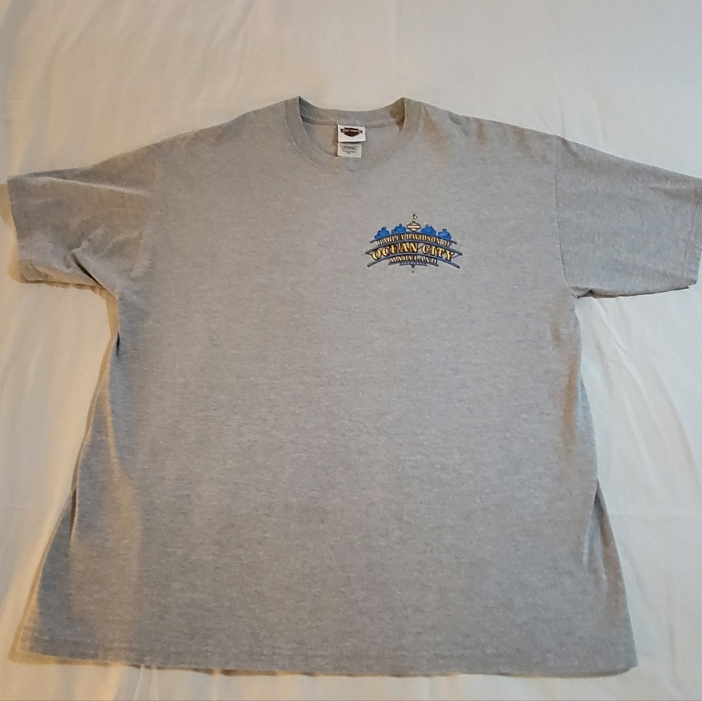 Harley-Davidson Gray Graphic T-Shirt